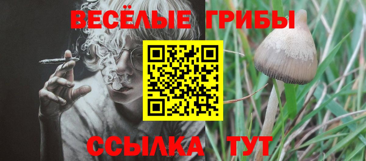 Псилоцибиновые грибы мицелий Гусь-Хрустальный